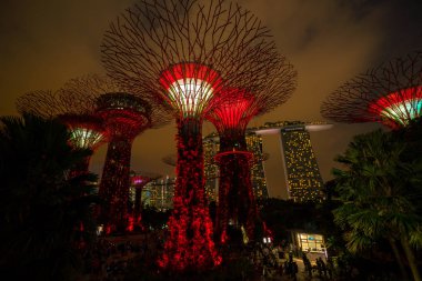Singapur gece manzarası Gardens Bay tarafından