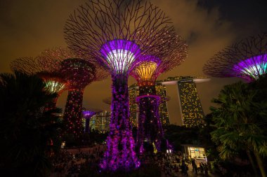 Singapur gece manzarası Gardens Bay tarafından