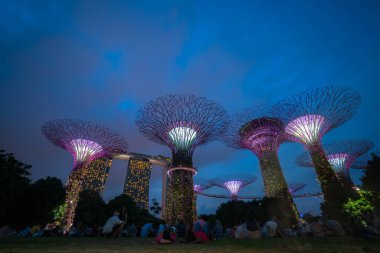 Singapur gece manzarası Gardens Bay tarafından