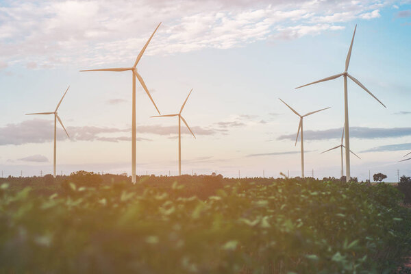 Wind Turbine Farm, Wind Energy Concept.