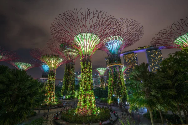 Panoramę Singapuru noc w ogrodach nad zatoką — Zdjęcie stockowe