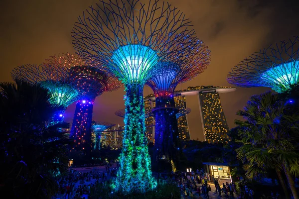 Panoramę Singapuru noc w ogrodach nad zatoką — Zdjęcie stockowe