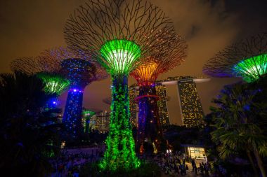 Singapur gece manzarası Gardens Bay tarafından