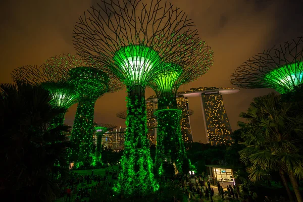 Panoramę Singapuru noc w ogrodach nad zatoką — Zdjęcie stockowe