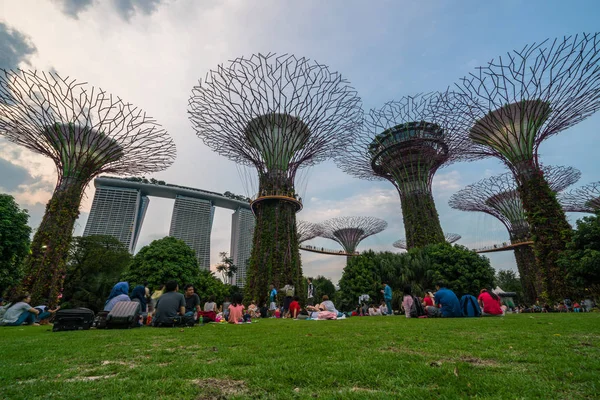 Supertree Grove w ogrodach nad zatoką, Singapur — Zdjęcie stockowe
