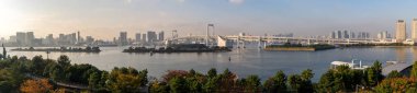 Tokyo Kulesi ve Gökkuşağı Köprüsü Japonya'da