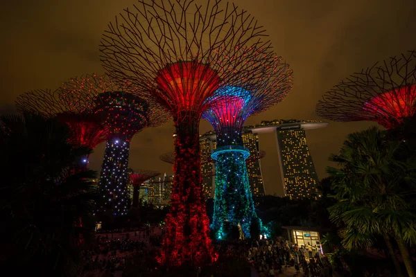 Panoramę Singapuru noc w ogrodach nad zatoką — Zdjęcie stockowe