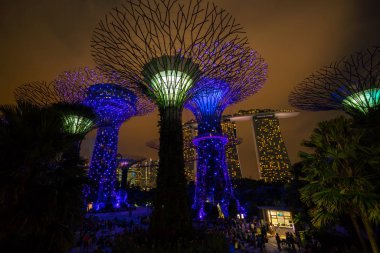 Singapur gece manzarası Gardens Bay tarafından