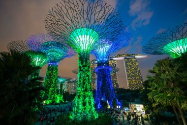 Singapur gece manzarası Gardens Bay tarafından