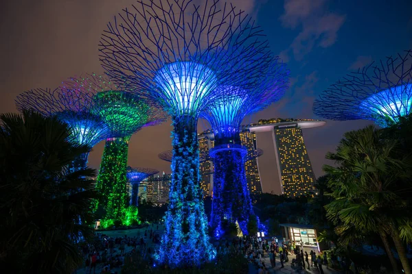 Panoramę Singapuru noc w ogrodach nad zatoką — Zdjęcie stockowe