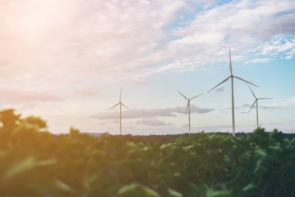 Parque eólico, Concepto de energía eólica . — Foto de Stock