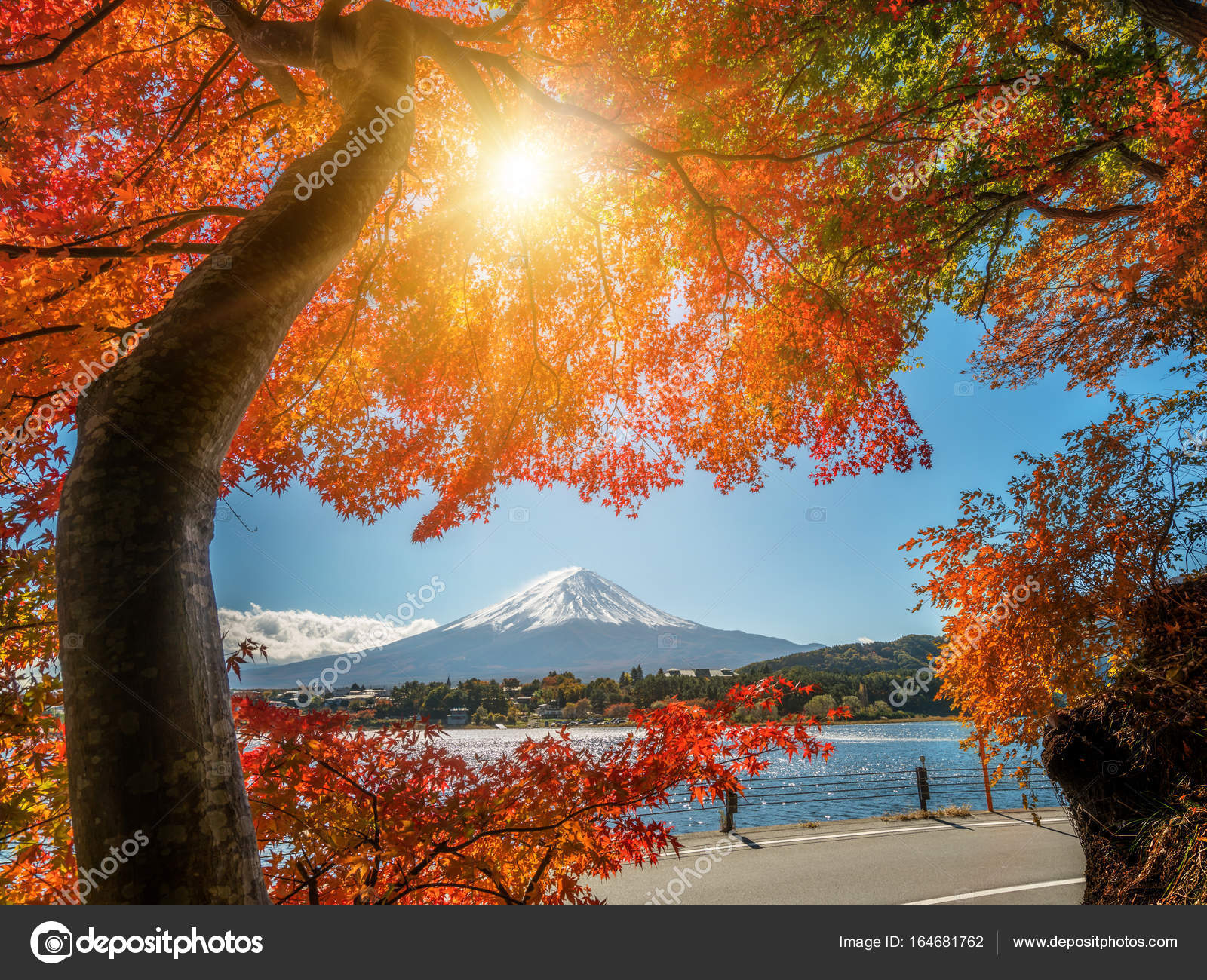 秋の色は 日本ではマウント富士 ストック写真 C Biancoblue