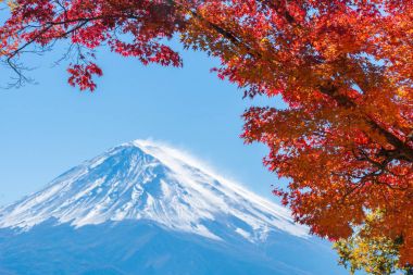 Mount Fuji sonbahar renk, Japonya