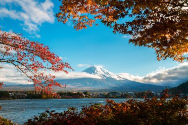 Mount Fuji sonbahar renk, Japonya