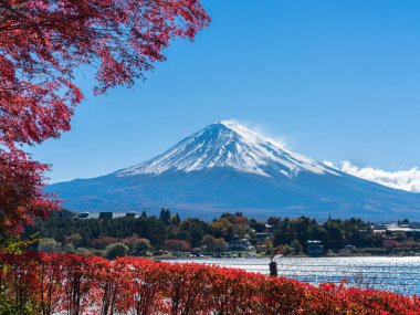 Mount Fuji sonbahar renk, Japonya