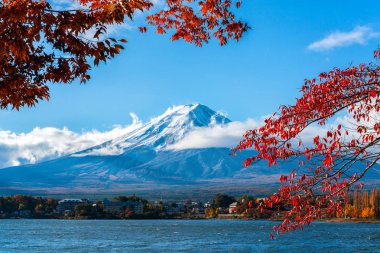 Mount Fuji sonbahar renk, Japonya