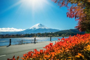 Mount Fuji sonbahar renk, Japonya