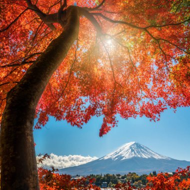 Mount Fuji sonbahar renk, Japonya
