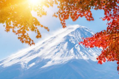 Mount Fuji sonbahar renk, Japonya