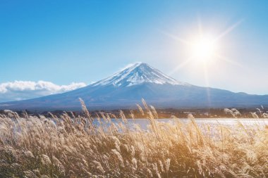 Mount Fuji sonbahar renk, Japonya