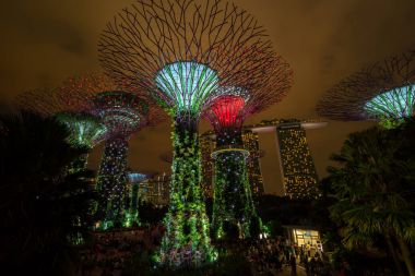 Singapur gece manzarası Gardens Bay tarafından