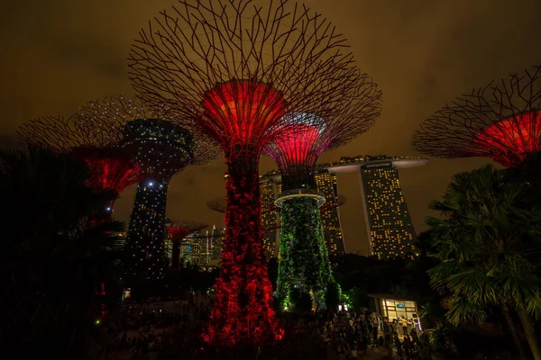 Panoramę Singapuru noc w ogrodach nad zatoką — Zdjęcie stockowe