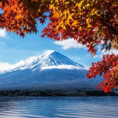Mount Fuji sonbahar renk, Japonya