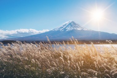 Mount Fuji sonbahar renk, Japonya