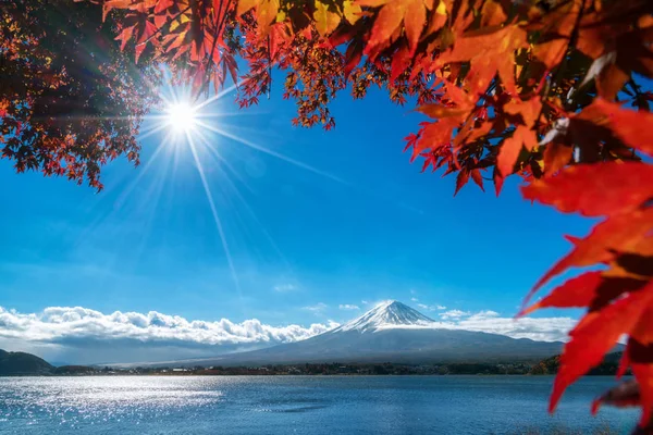 Mount Fuji sonbahar renk, Japonya