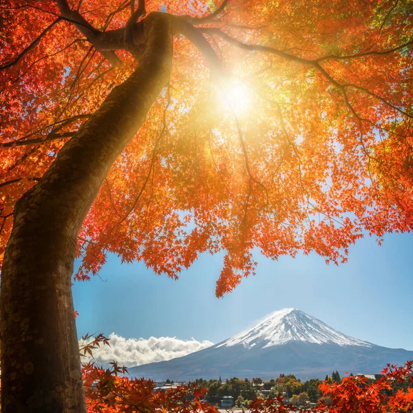 Mount Fuji sonbahar renk, Japonya