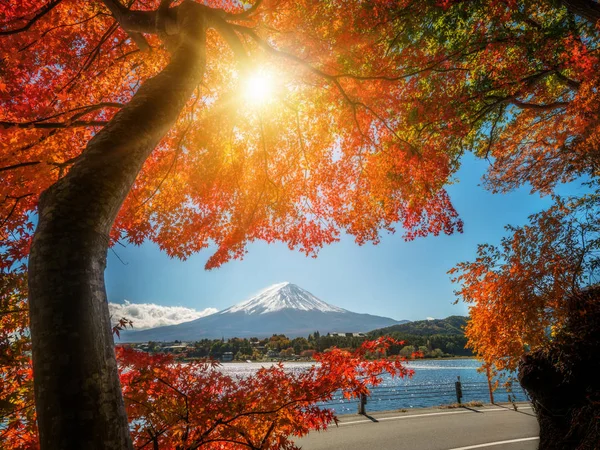 Mount Fuji sonbahar renk, Japonya