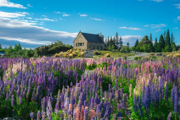 Kościół Dobrego Pasterza i Wilcza pola, Lake Tekapo — Zdjęcie stockowe