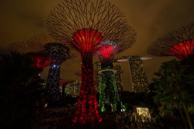 Singapur gece manzarası Gardens Bay tarafından