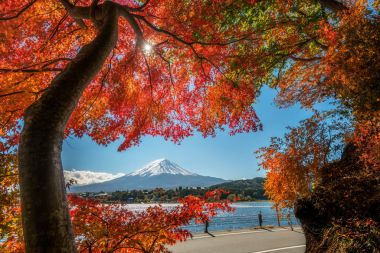 Mount Fuji sonbahar renk, Japonya