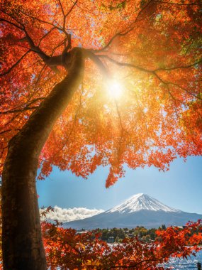 Mount Fuji sonbahar renk, Japonya