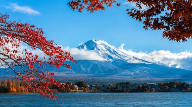 Mount Fuji sonbahar renk, Japonya
