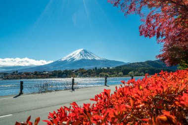 Mount Fuji sonbahar renk, Japonya