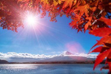 Mount Fuji sonbahar renk, Japonya