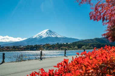 Mount Fuji sonbahar renk, Japonya