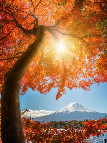 Mount Fuji sonbahar renk, Japonya