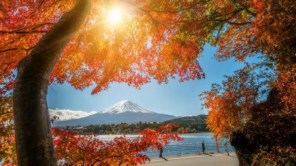 Mount Fuji sonbahar renk, Japonya