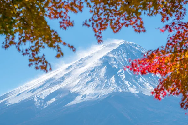 Mount Fuji sonbahar renk, Japonya