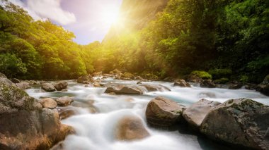 Rocky river yatay yağmur ormanlarında, Yeni Zelanda