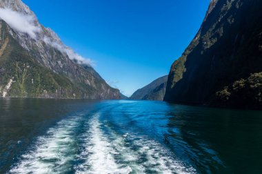 Milford Sound, Yeni Zelanda 'da feribot gezisi.