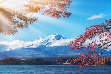 Mount Fuji sonbahar renk, Japonya