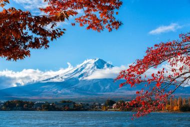 Mount Fuji sonbahar renk, Japonya