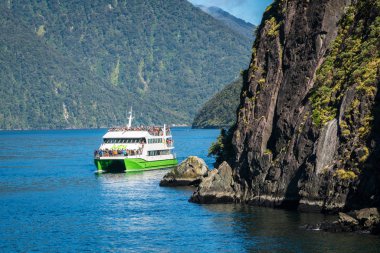 Milford ses, Yeni Zelanda'da tur tekne yolculukları