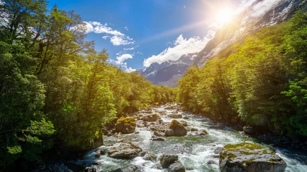 Rocky river fekvő esőerdők, Új-Zéland — Stock Fotó
