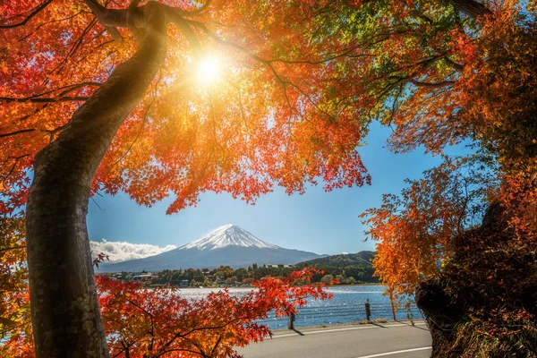 Mount Fuji sonbahar renk, Japonya