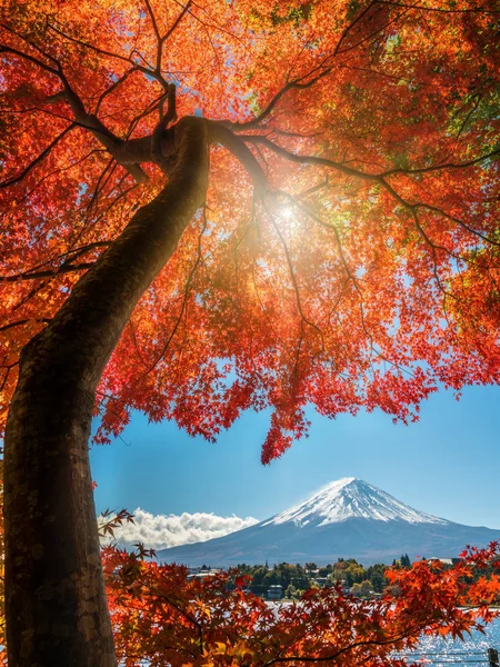 Mount Fuji sonbahar renk, Japonya